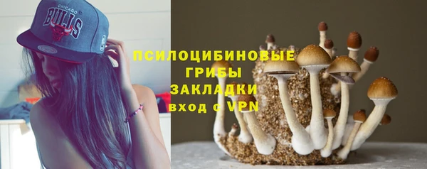 метадон Горняк