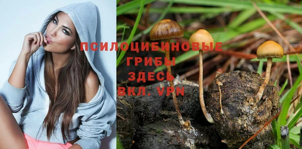 кокс Горнозаводск