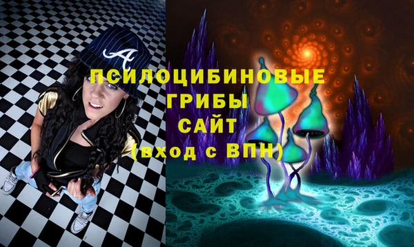 метадон Горняк