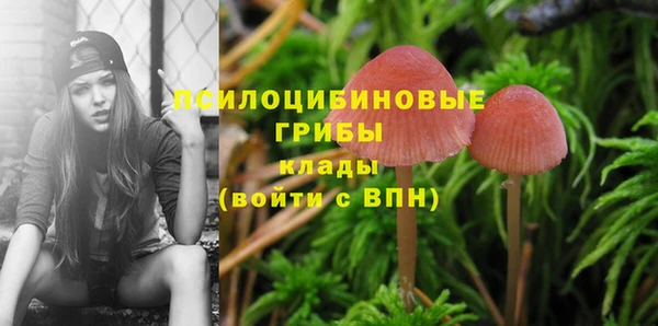 метадон Горняк